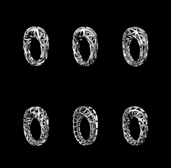 digital filigree - Kopf_Ring_Variations